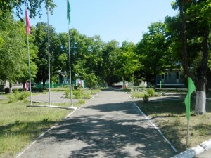 DSCN8977