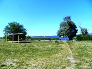 DSCN8979
