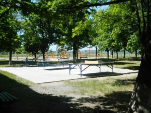 DSCN8981