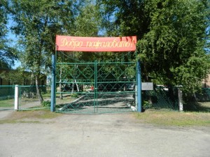 DSCN8984