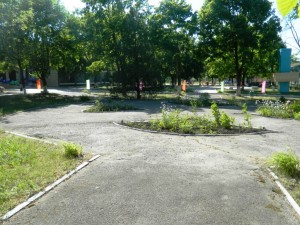 DSCN9006